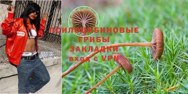 экстази Михайловск