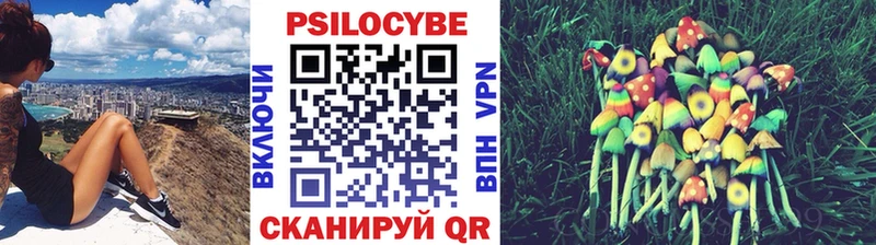 Галлюциногенные грибы Magic Shrooms  Юрга 